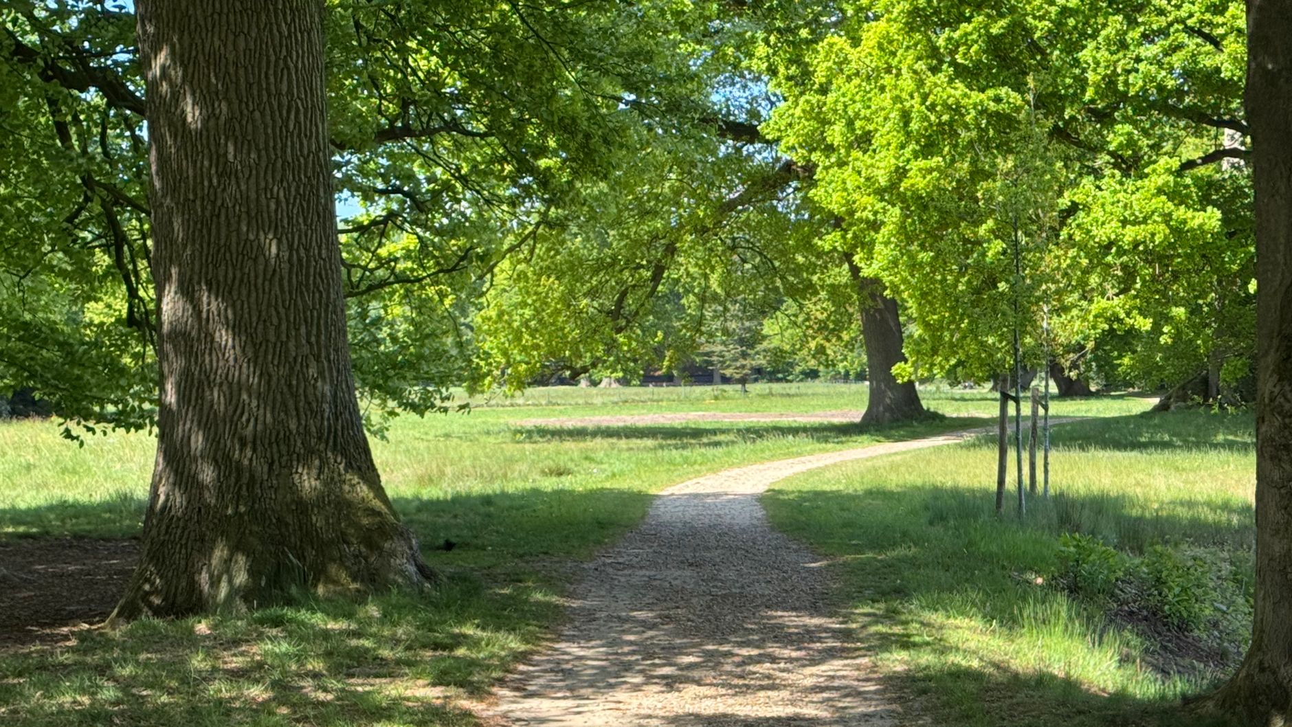 Lutte contre les nuisibles à Versailles